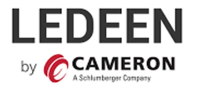 ledeen logo
